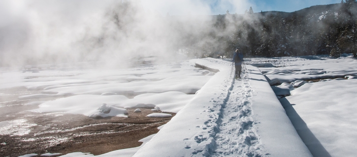 10 Reasons To Visit Yellowstone In Winter 17