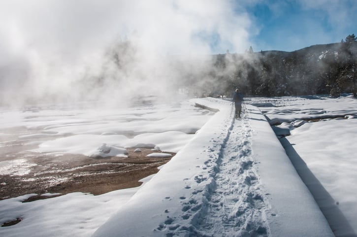 10 Reasons To Visit Yellowstone In Winter 17
