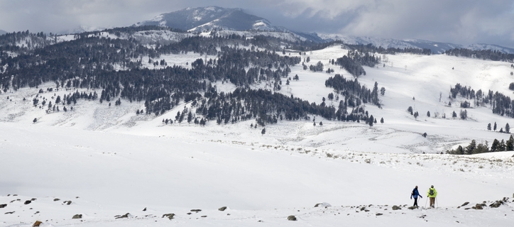 10 Reasons To Visit Yellowstone In Winter 20