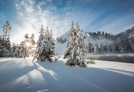 10 Reasons To Visit Yellowstone In Winter 23