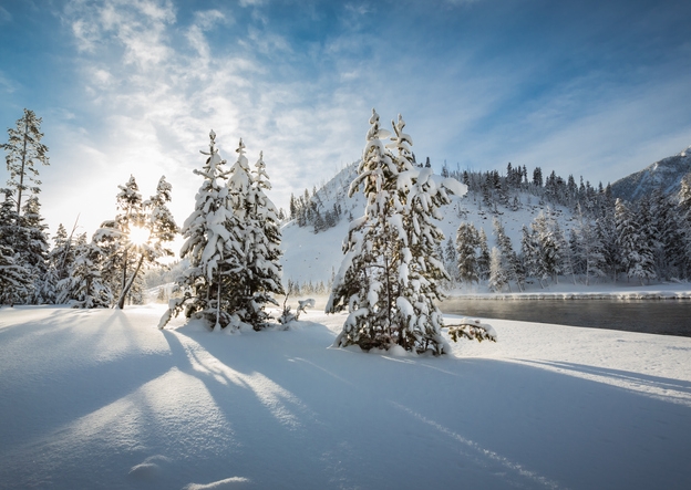 10 Reasons To Visit Yellowstone In Winter 23