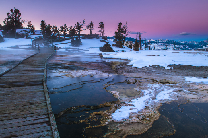 10 Reasons To Visit Yellowstone In Winter 26