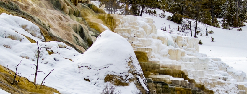 10 Reasons To Visit Yellowstone In Winter 27