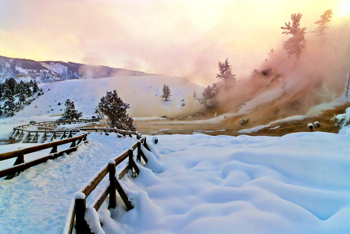 10 Reasons To Visit Yellowstone In Winter 1