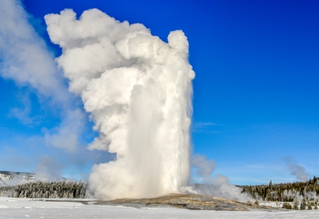 10 Reasons To Visit Yellowstone In Winter 5