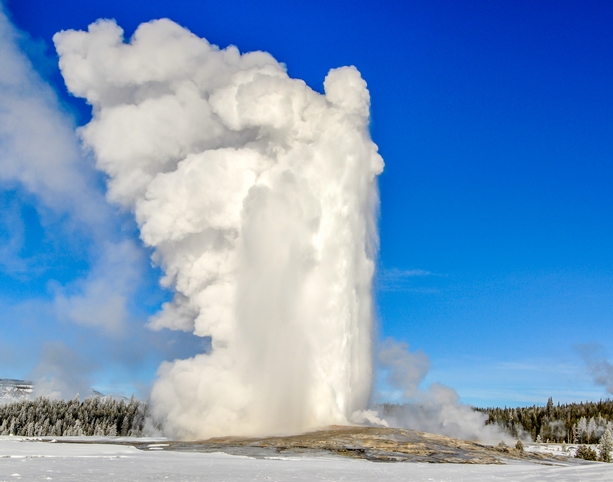 10 Reasons To Visit Yellowstone In Winter 5