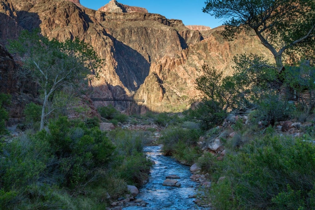 Insider’s Guide to Grand Canyon Lodges 19