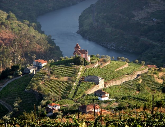 Vineyard in Douro Valley, Portugal - more files in my portfolio