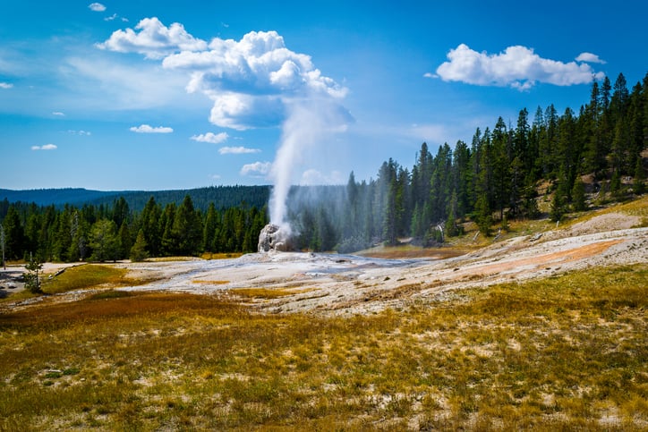 The Lone Star Geyser puts on quite a performance as it erupts for more than fifteen minutes at Yellowstone National Park. This picture shows it in full throttle.