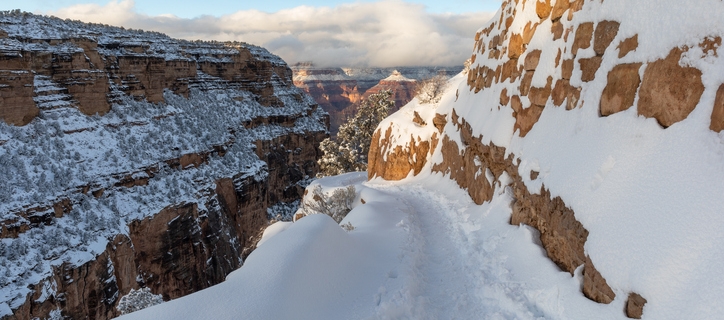 Grand Canyon: 3 Perfect Winter Days 9