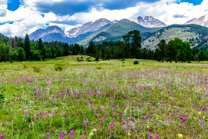 Picture Perfect: Best Views in the National Parks 3