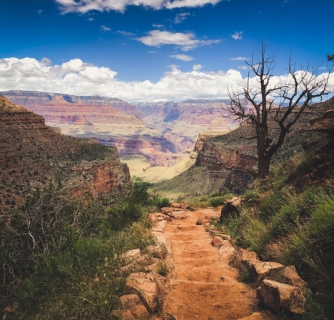 Grand Canyon with Kids: 10 Awesome Things to Do 5