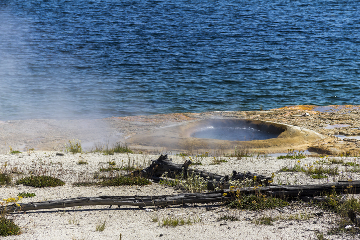 Small geysir at Yellowstone lake, in Yellowstone N.P.