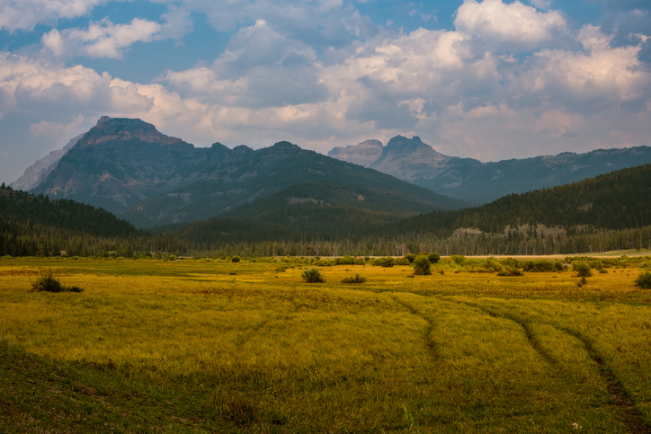 Northern Lamar Valley