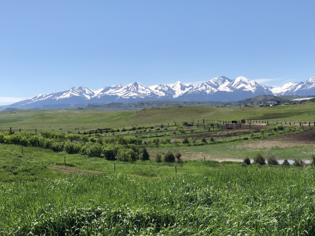 Pulling Carbon out of the Big Sky