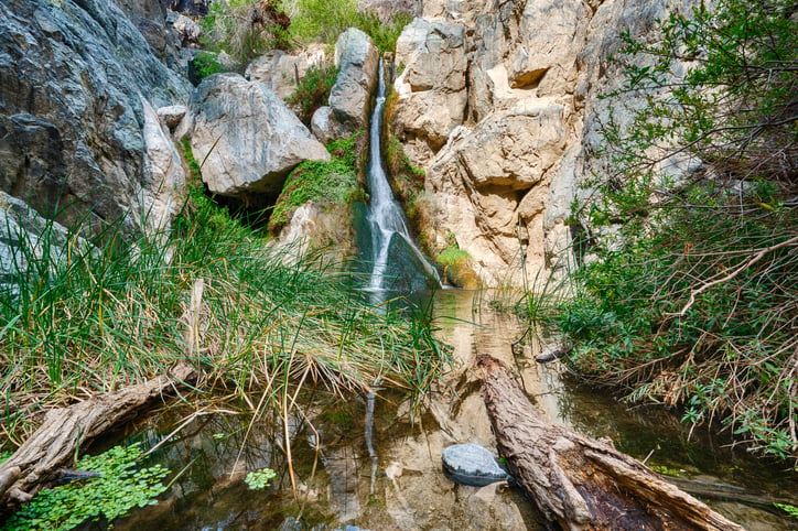 Darwin Falls is a small oasis waterfall near Panamint Springs in Death Valley National Park, California