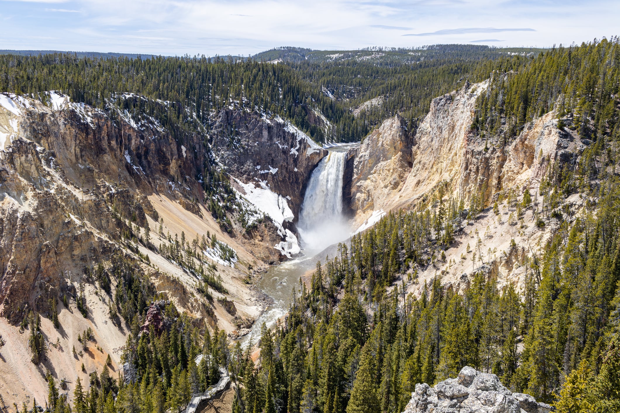 5 Reasons Why Yellowstone is Super in Springtime 2