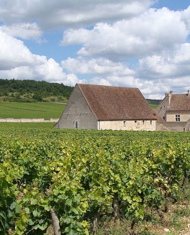 Great Wine-Lover’s Tours