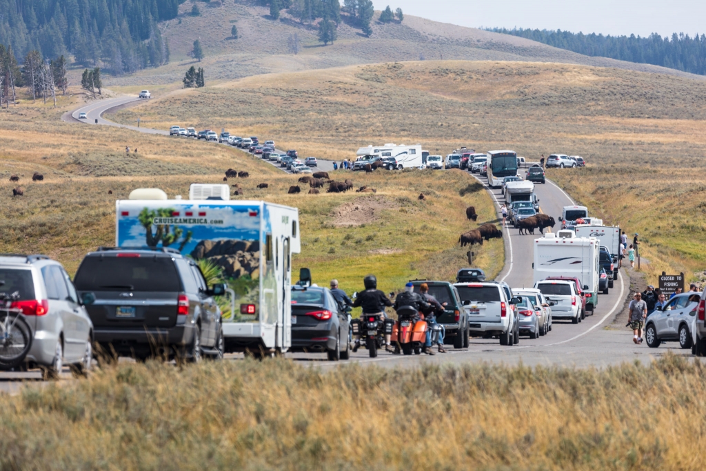 A Yellowstone National Park Ranger Shares Little-Known Insights