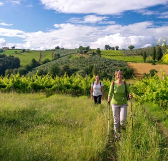 Two women walking through a green landscape