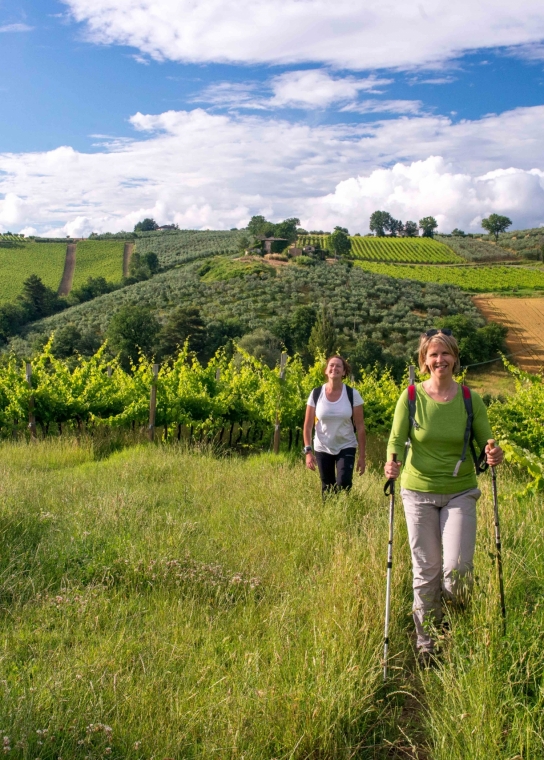 Two women walking through a green landscape