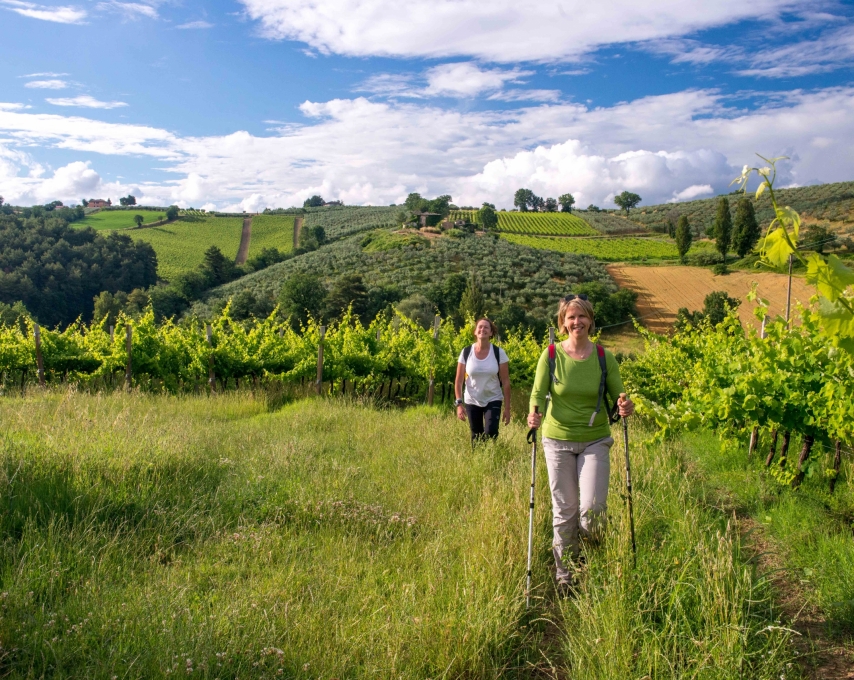 Two women walking through a green landscape