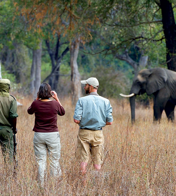 7 Amazing Trips That Will Change Your Life