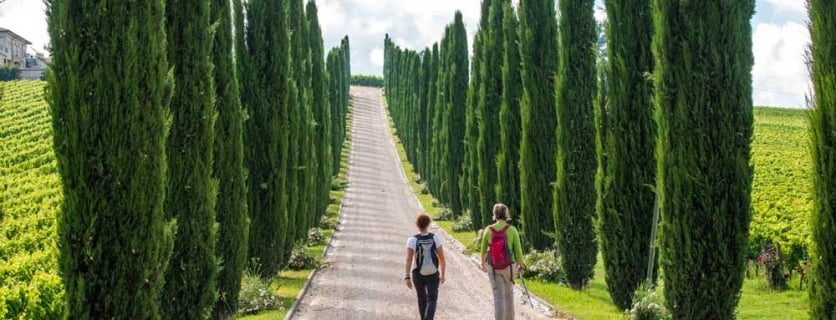 Taste the Regions of Italy Through These Five Italian Wines