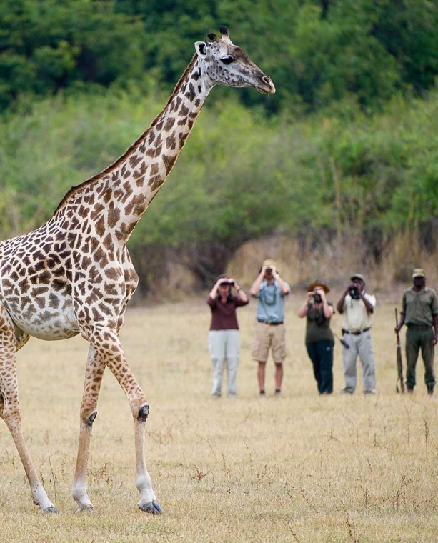 Ultimate Bucket-List Fantasy Trips