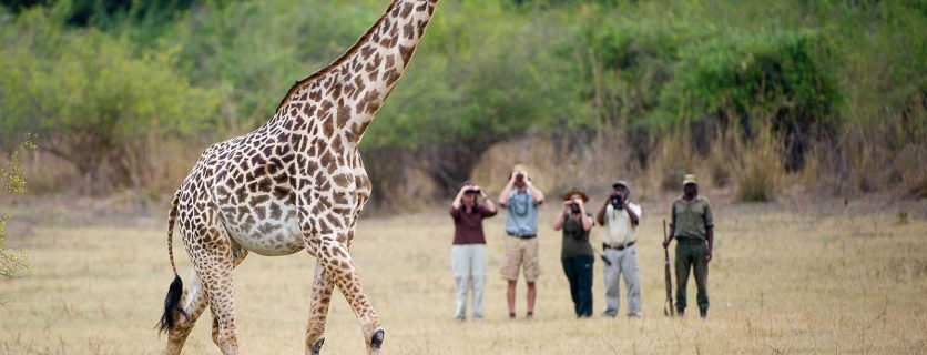 Ultimate Bucket-List Fantasy Trips