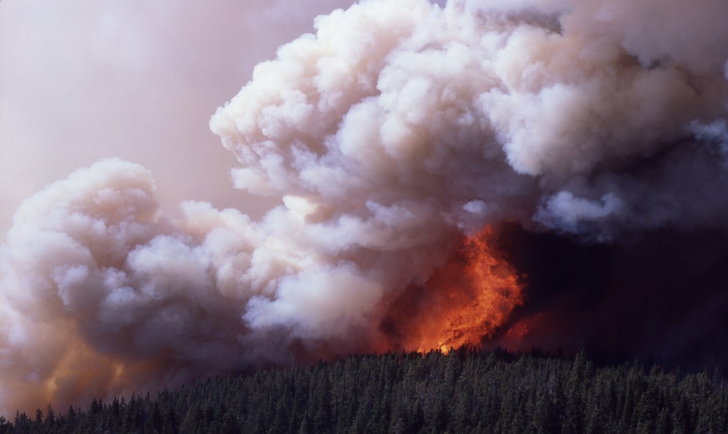 Big smoke from forest fire