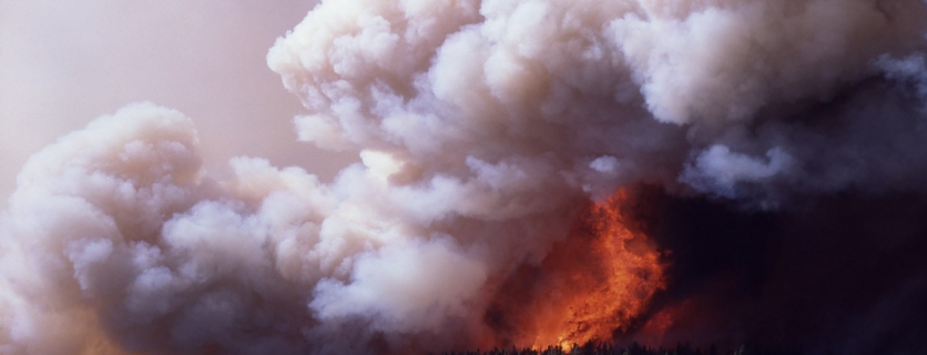 Big smoke from forest fire