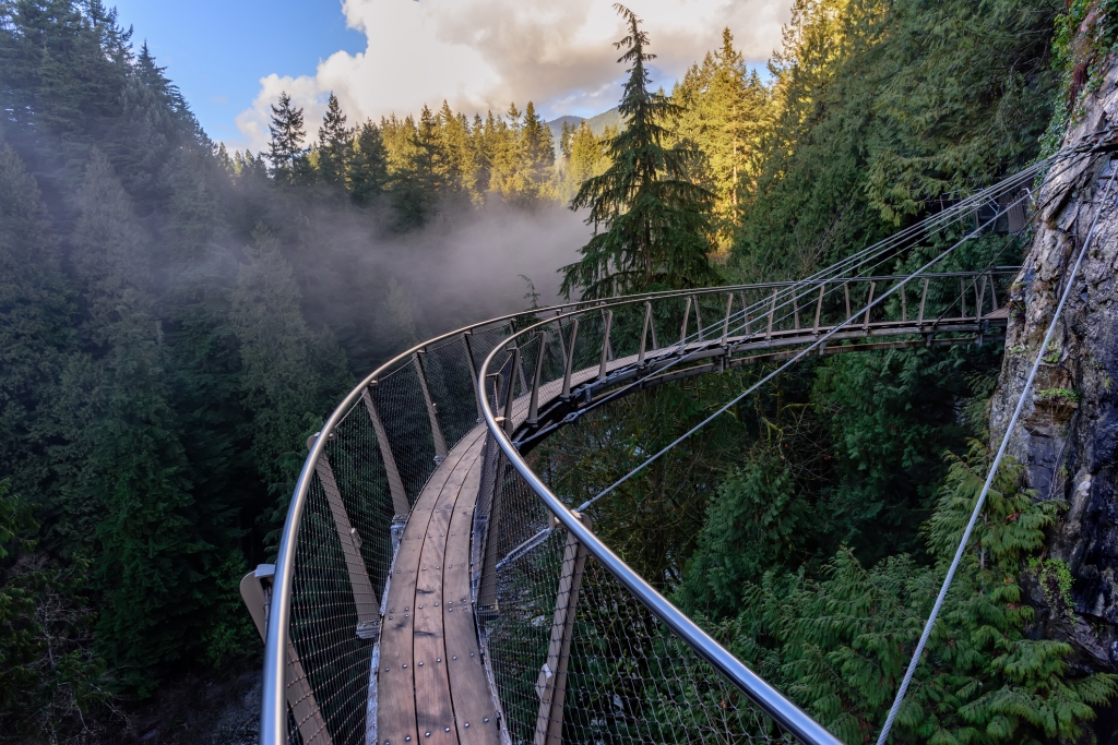 a view from above from the suspension bridge on rough streams of a mountain river among green forests white fog and rocky mountains in a sunny, summer day