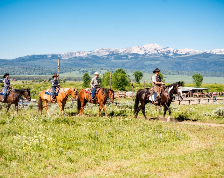 CELEBRATION TRIP PLANNING CHECKLIST