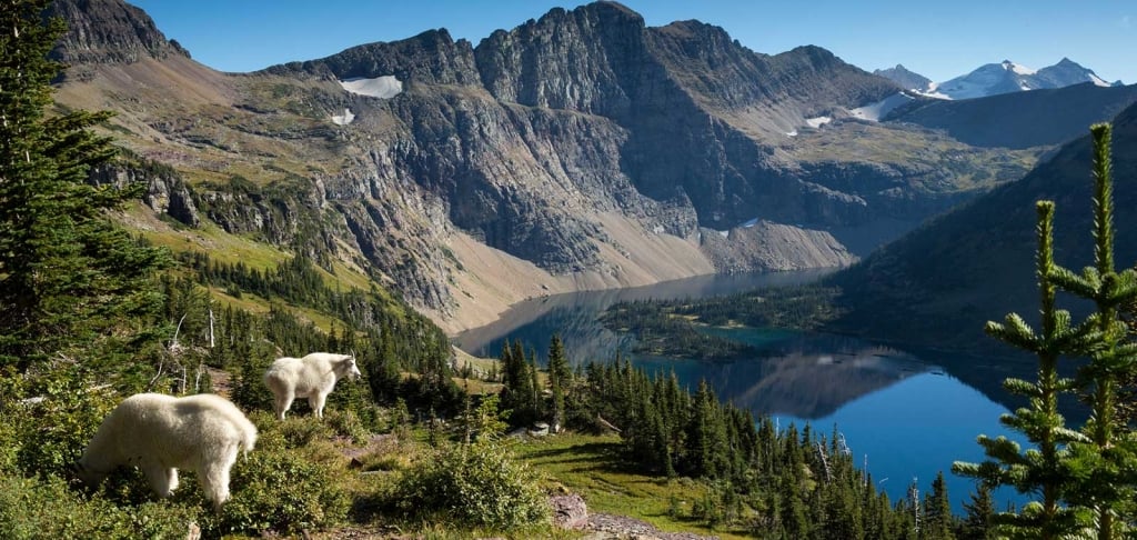 Hiring! Seasonal Jobs in the National Parks