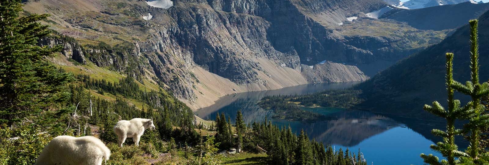 Digital Detox in the National Parks Xanterra Travel Collection®