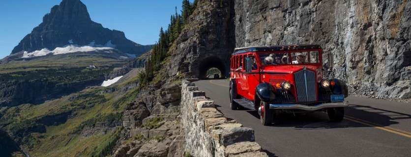 Red Bus Tour