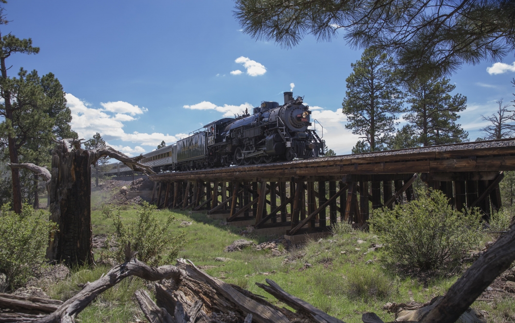 Steam Engine Train