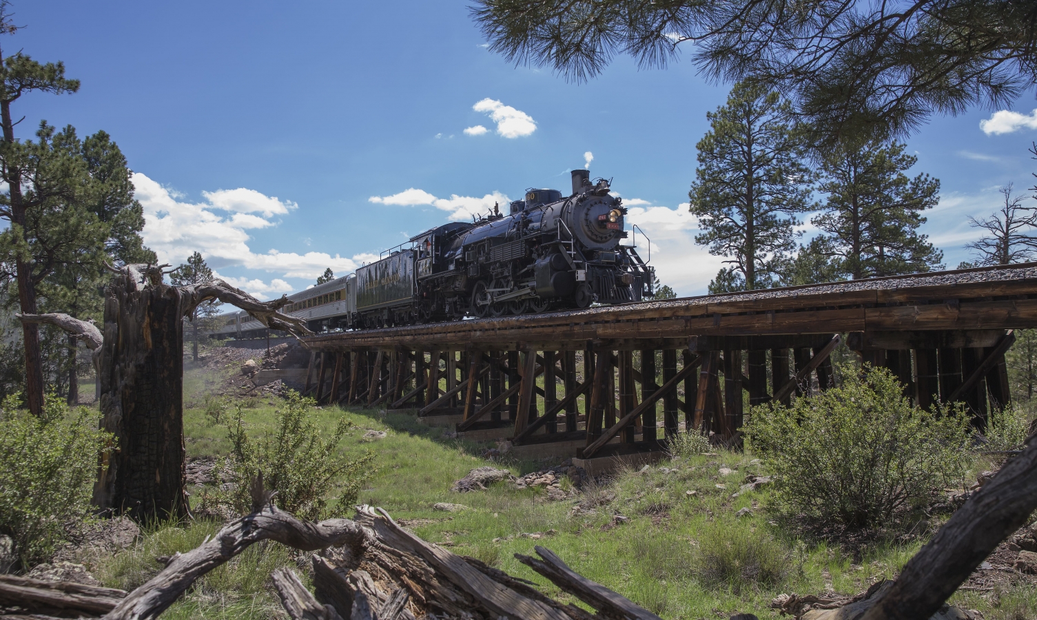 Steam Engine Train