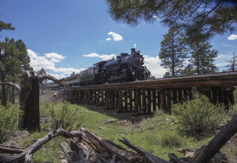 Steam Engine Train