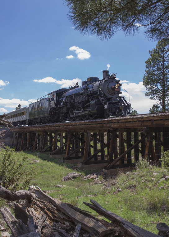 Steam Engine Train