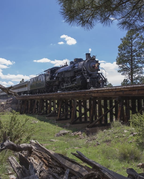 Steam Engine Train