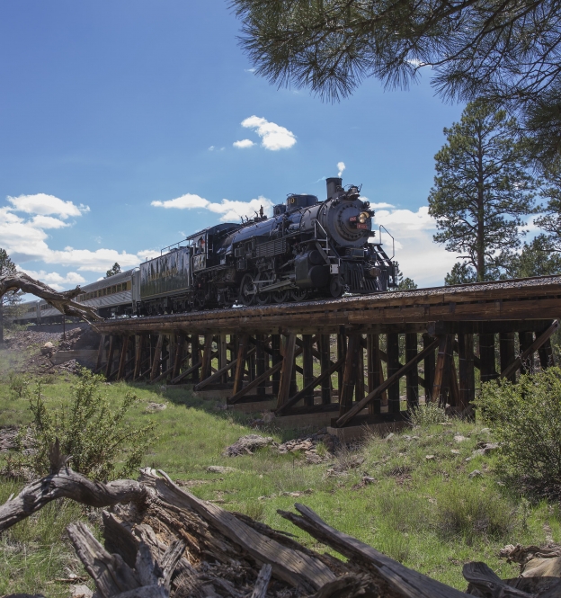 Steam Engine Train