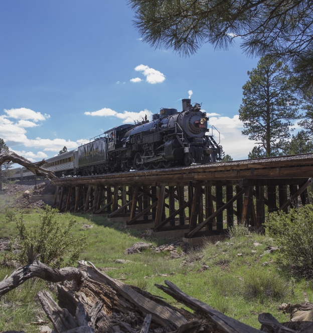 Steam Engine Train