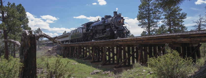 Steam Engine Train