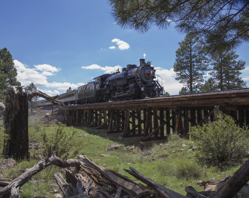 Steam Engine Train