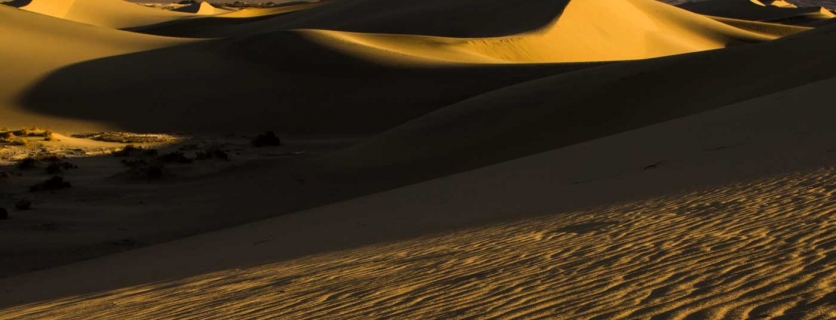 Dunes