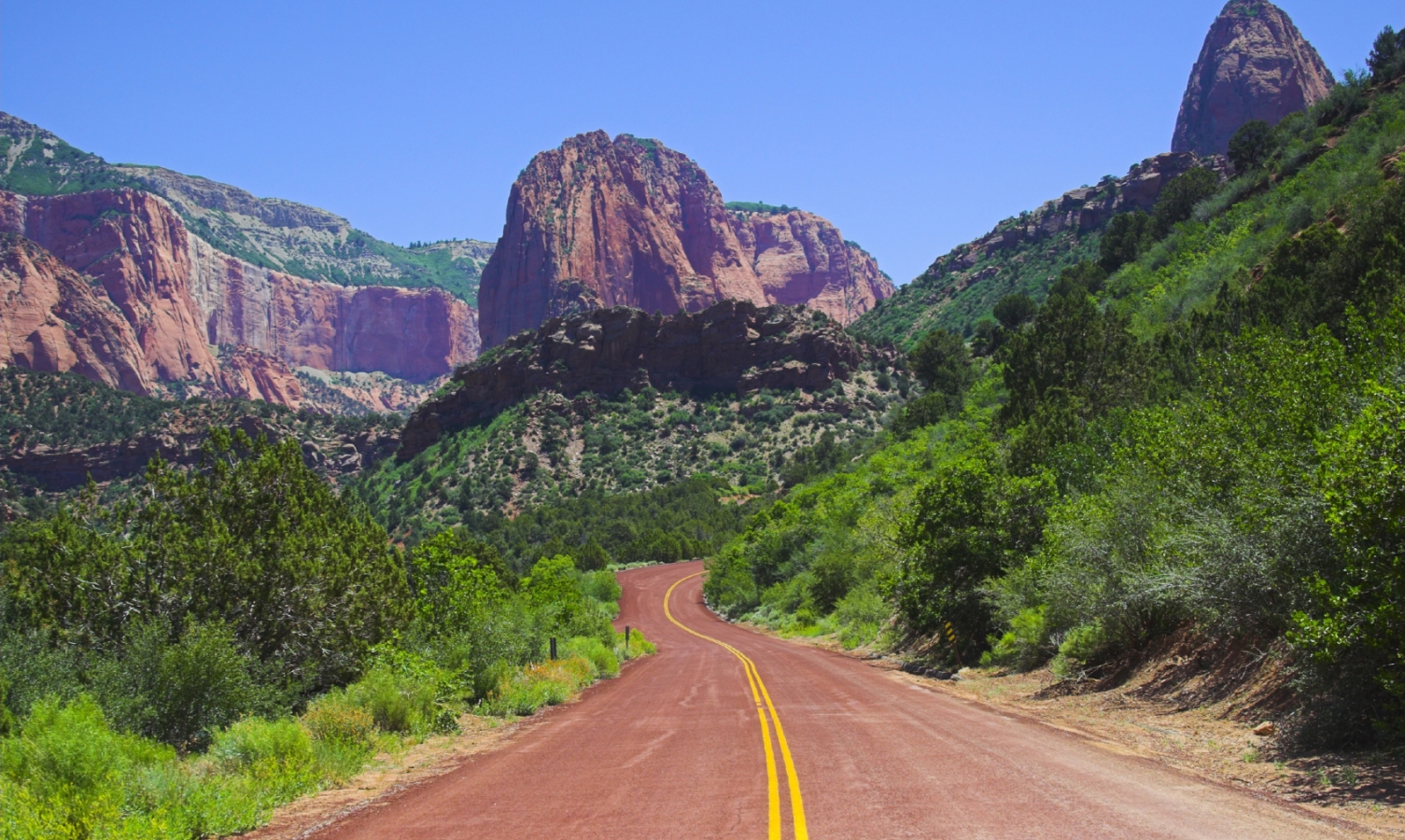 Road Trips: Best Scenic Drives in the National Parks