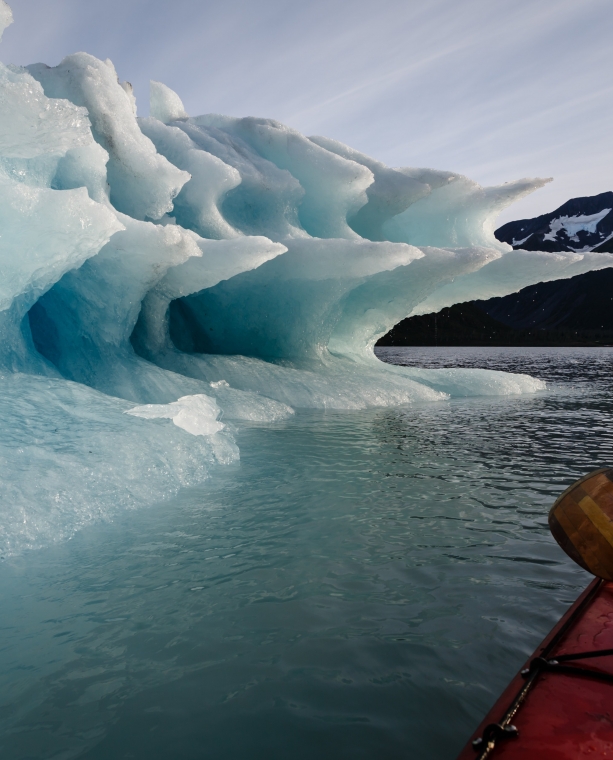 Sensational Alaska Experiences