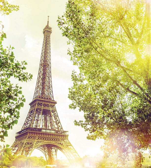 How to Plan a Celebration Vacation